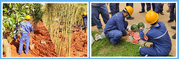 1599118330481400.jpg 2.jpg