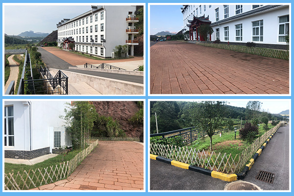 1602468035814637.jpg P圖-四框.jpg