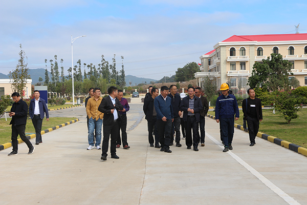 1605575487556422.jpg IMG_8862.JPG