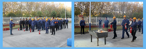 1606528390536395.png 圖片5.png