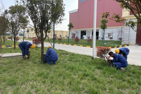 1617172466214876.png 圖片 1.png