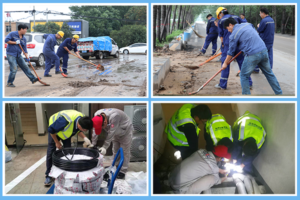 1627866578808614.jpg 2.jpg