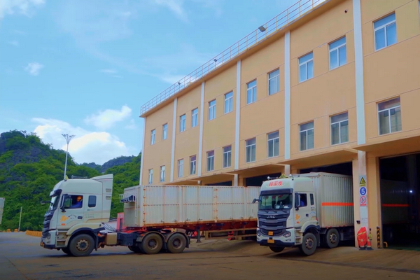 1646031506953700.jpg 1.jpg