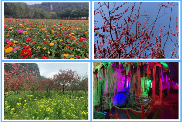 1646883632640571.png 四合一.png