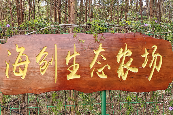 1716771144993639.jpg 1.jpg