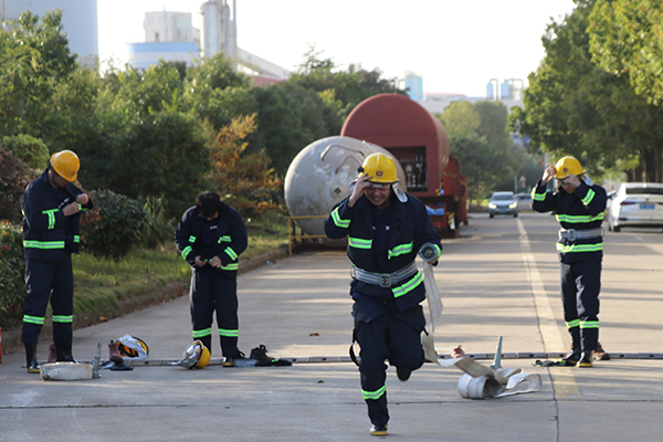 1732755634259780.jpg 4.jpg