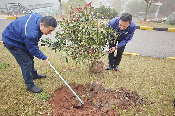 1744250162636984.jpg 種植樹苗600X400.jpg
