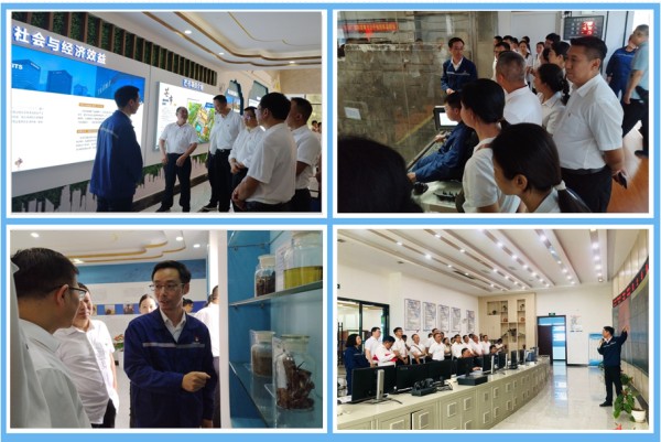 1751527046114445.jpg 四合一.jpg