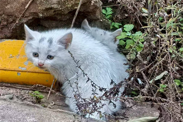 1763454482609552.jpg 照片.jpg